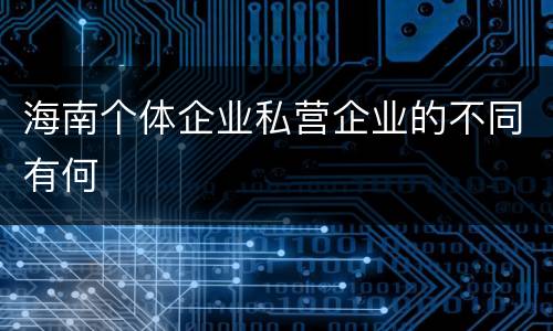 海南个体企业私营企业的不同有何