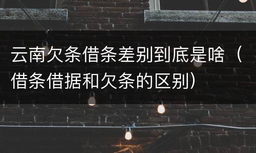 云南欠条借条差别到底是啥（借条借据和欠条的区别）
