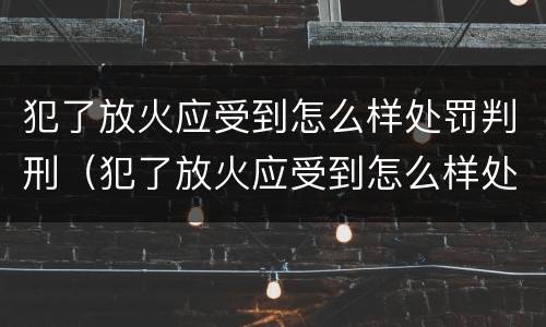 犯了放火应受到怎么样处罚判刑（犯了放火应受到怎么样处罚判刑多少年）
