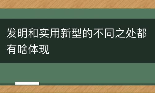 发明和实用新型的不同之处都有啥体现