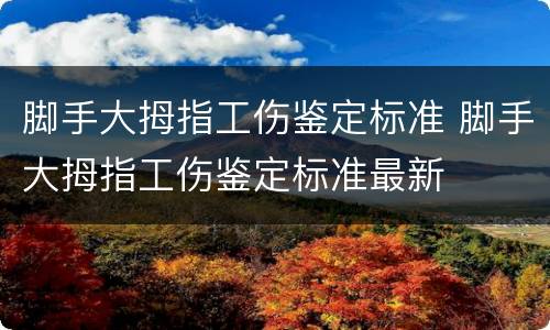 脚手大拇指工伤鉴定标准 脚手大拇指工伤鉴定标准最新