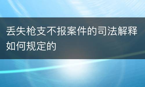 丢失枪支不报案件的司法解释如何规定的