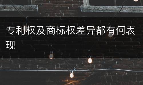 专利权及商标权差异都有何表现