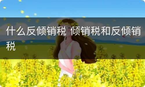 什么反倾销税 倾销税和反倾销税