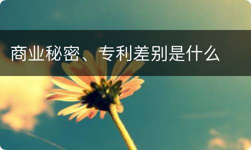 商业秘密、专利差别是什么