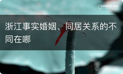 浙江事实婚姻、同居关系的不同在哪