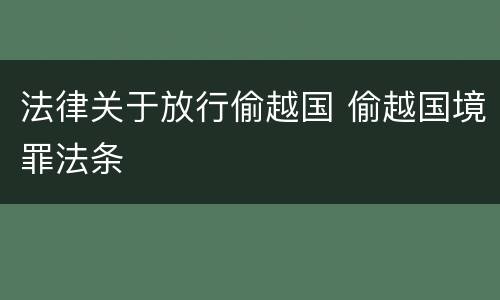 法律关于放行偷越国 偷越国境罪法条