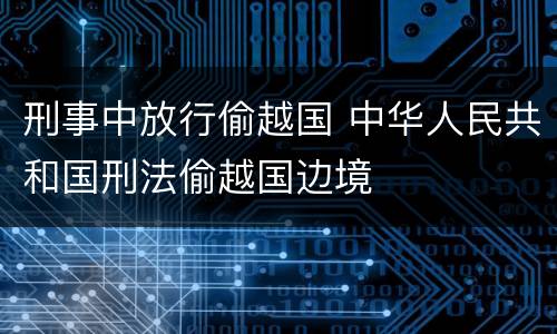 刑事中放行偷越国 中华人民共和国刑法偷越国边境