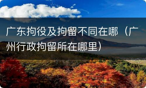 广东拘役及拘留不同在哪（广州行政拘留所在哪里）