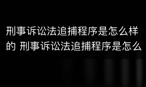 刑事诉讼法追捕程序是怎么样的 刑事诉讼法追捕程序是怎么样的案件