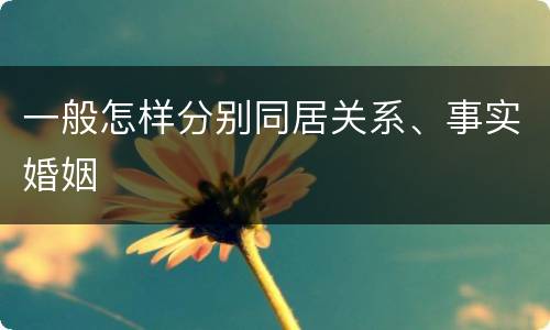 一般怎样分别同居关系、事实婚姻