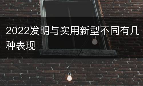 2022发明与实用新型不同有几种表现