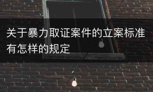 关于暴力取证案件的立案标准有怎样的规定