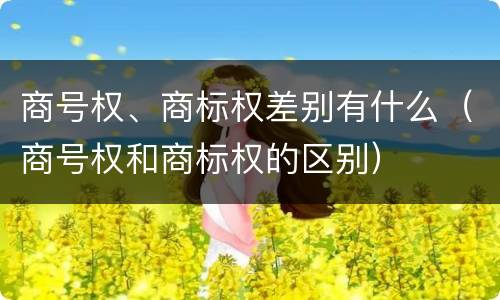 商号权、商标权差别有什么（商号权和商标权的区别）
