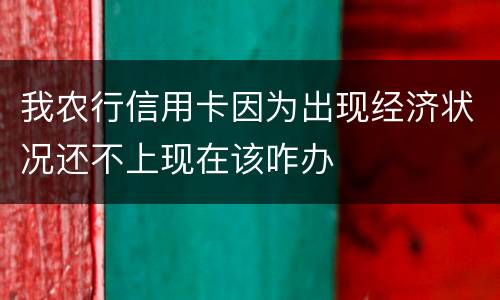 我农行信用卡因为出现经济状况还不上现在该咋办