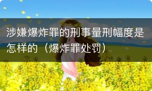 涉嫌爆炸罪的刑事量刑幅度是怎样的（爆炸罪处罚）