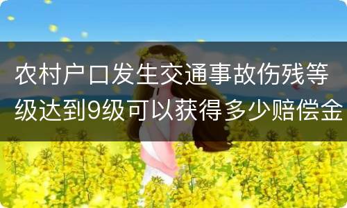农村户口发生交通事故伤残等级达到9级可以获得多少赔偿金