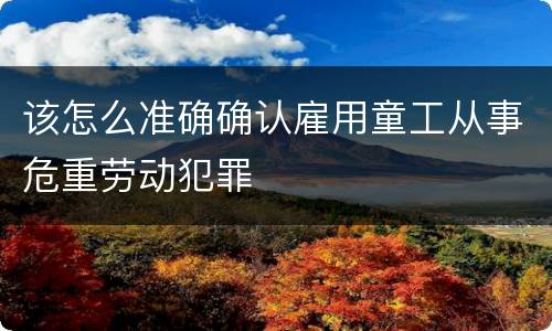 该怎么准确确认雇用童工从事危重劳动犯罪