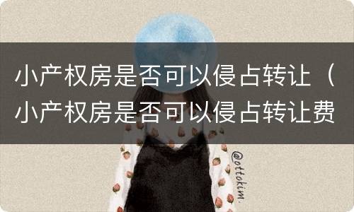 小产权房是否可以侵占转让（小产权房是否可以侵占转让费用）