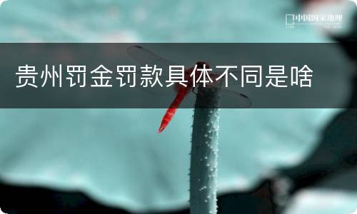 贵州罚金罚款具体不同是啥