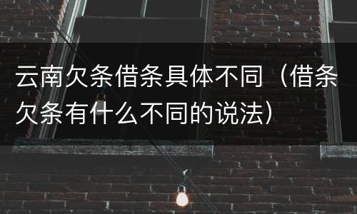 云南欠条借条具体不同（借条欠条有什么不同的说法）