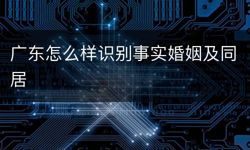 广东怎么样识别事实婚姻及同居