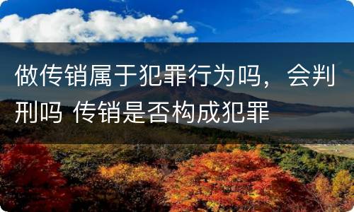 做传销属于犯罪行为吗，会判刑吗 传销是否构成犯罪