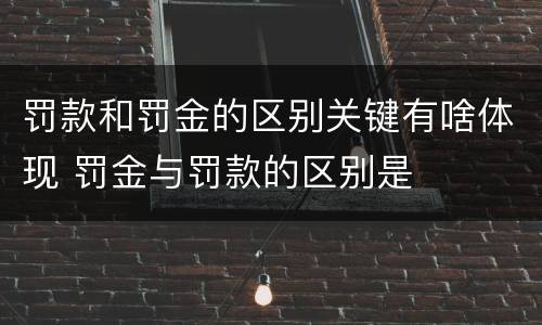 罚款和罚金的区别关键有啥体现 罚金与罚款的区别是