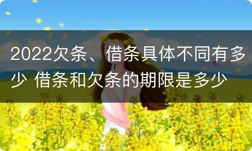 2022欠条、借条具体不同有多少 借条和欠条的期限是多少