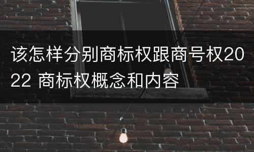 该怎样分别商标权跟商号权2022 商标权概念和内容