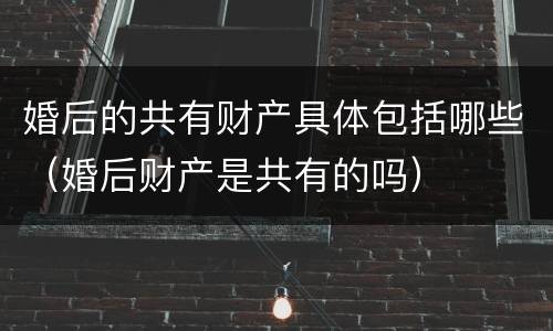 婚后的共有财产具体包括哪些（婚后财产是共有的吗）