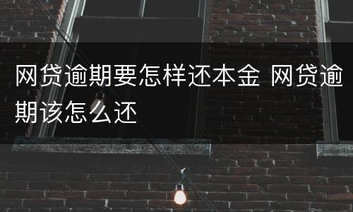 网贷逾期要怎样还本金 网贷逾期该怎么还