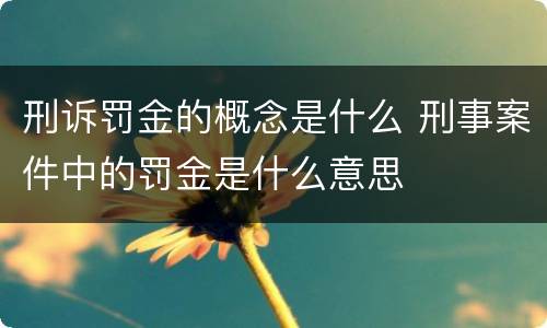 刑诉罚金的概念是什么 刑事案件中的罚金是什么意思