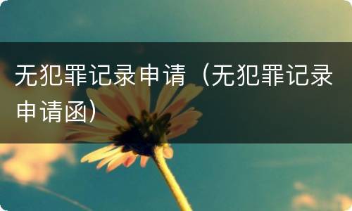 无犯罪记录申请（无犯罪记录申请函）