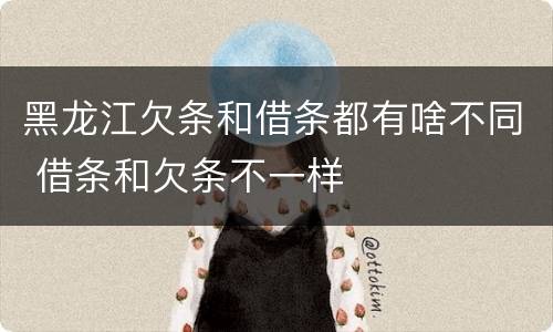 黑龙江欠条和借条都有啥不同 借条和欠条不一样