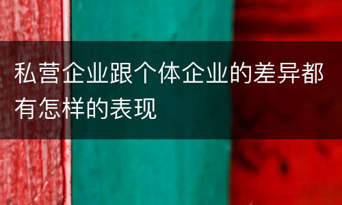 私营企业跟个体企业的差异都有怎样的表现