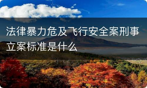 法律暴力危及飞行安全案刑事立案标准是什么