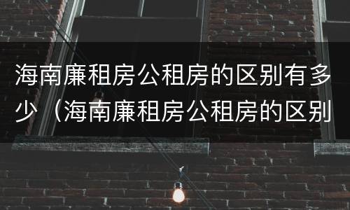 海南廉租房公租房的区别有多少（海南廉租房公租房的区别有多少年）