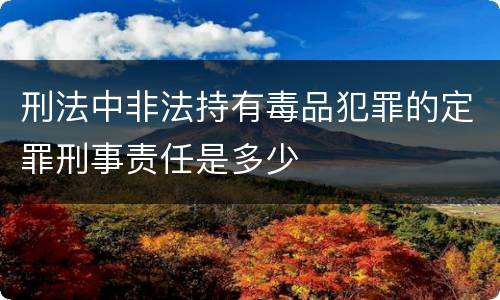 刑法中非法持有毒品犯罪的定罪刑事责任是多少