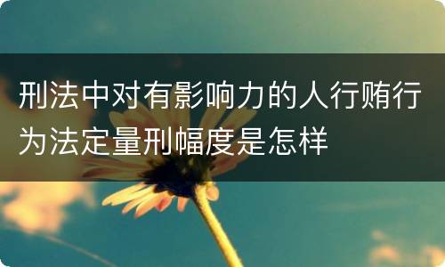 刑法中对有影响力的人行贿行为法定量刑幅度是怎样