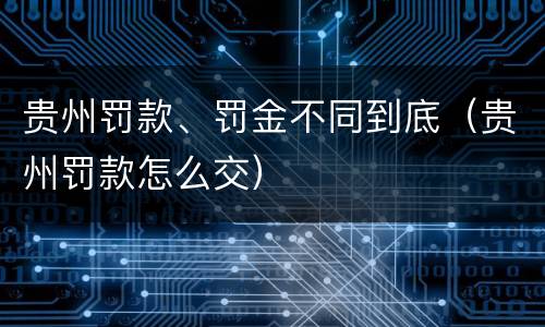 贵州罚款、罚金不同到底（贵州罚款怎么交）