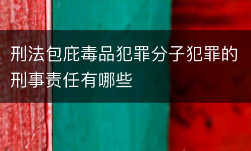 刑法包庇毒品犯罪分子犯罪的刑事责任有哪些