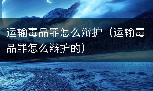 运输毒品罪怎么辩护（运输毒品罪怎么辩护的）