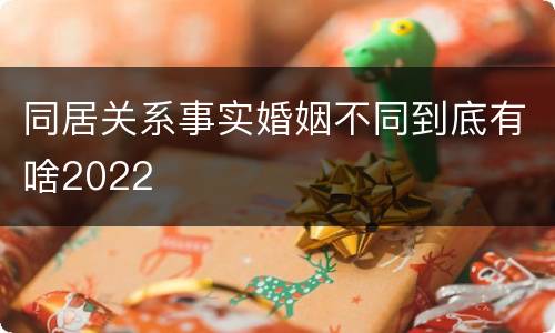 同居关系事实婚姻不同到底有啥2022