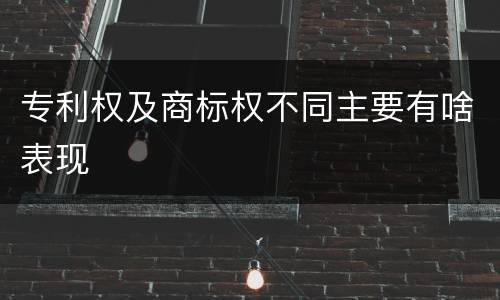 专利权及商标权不同主要有啥表现