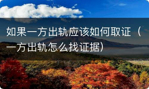如果一方出轨应该如何取证（一方出轨怎么找证据）