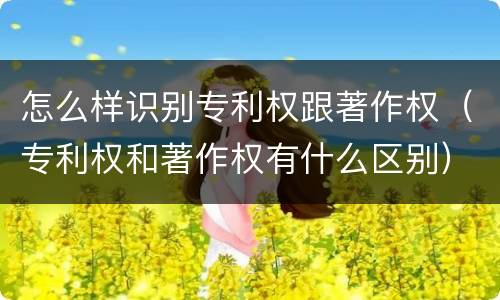 怎么样识别专利权跟著作权（专利权和著作权有什么区别）