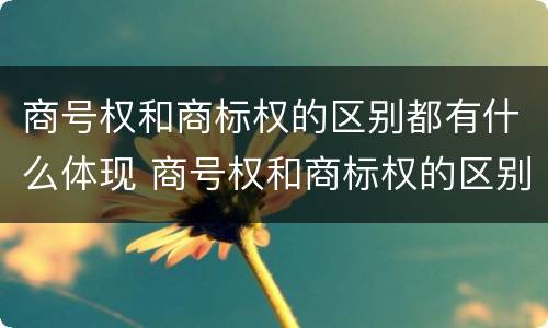 商号权和商标权的区别都有什么体现 商号权和商标权的区别都有什么体现呢