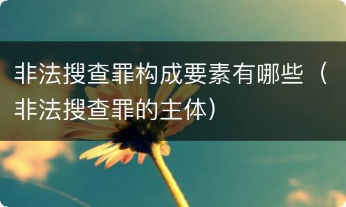 非法搜查罪构成要素有哪些（非法搜查罪的主体）