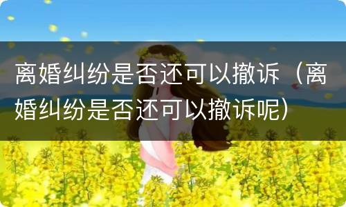 离婚纠纷是否还可以撤诉（离婚纠纷是否还可以撤诉呢）